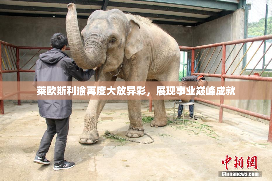 莱欧斯利瑜再度大放异彩，展现事业巅峰成就