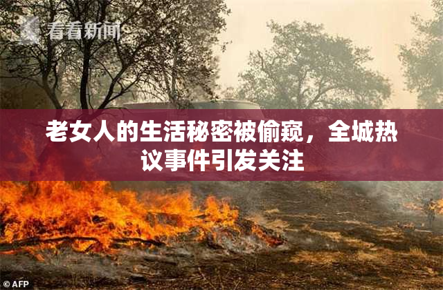 老女人的生活秘密被偷窥，全城热议事件引发关注
