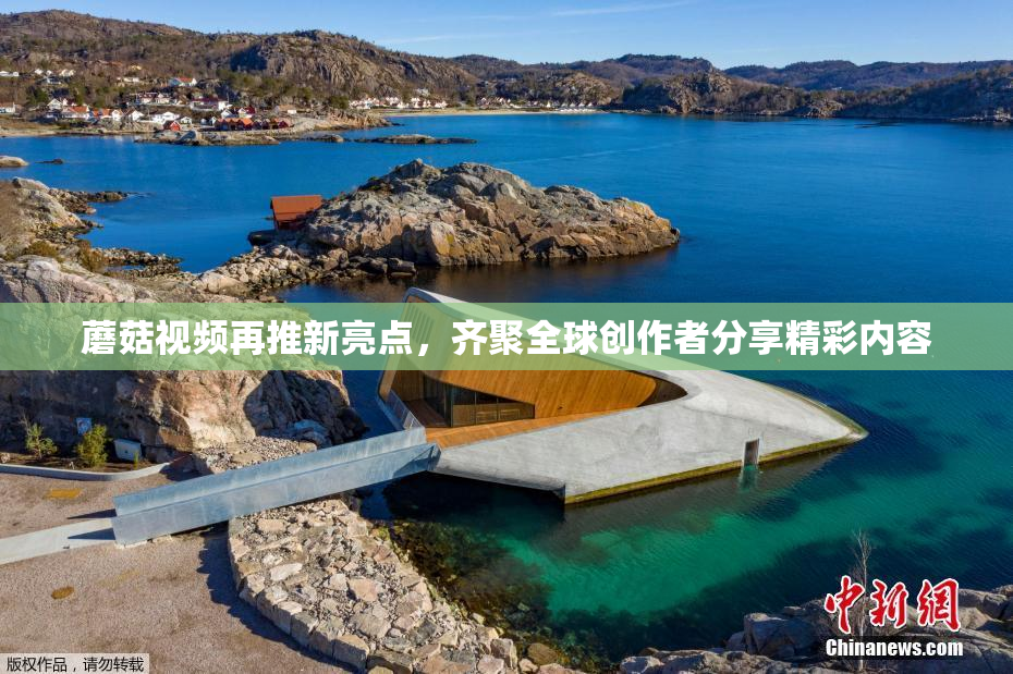 蘑菇视频再推新亮点，齐聚全球创作者分享精彩内容
