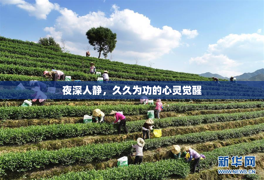 夜深人静，久久为功的心灵觉醒