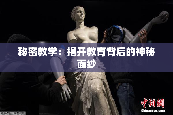 秘密教学：揭开教育背后的神秘面纱