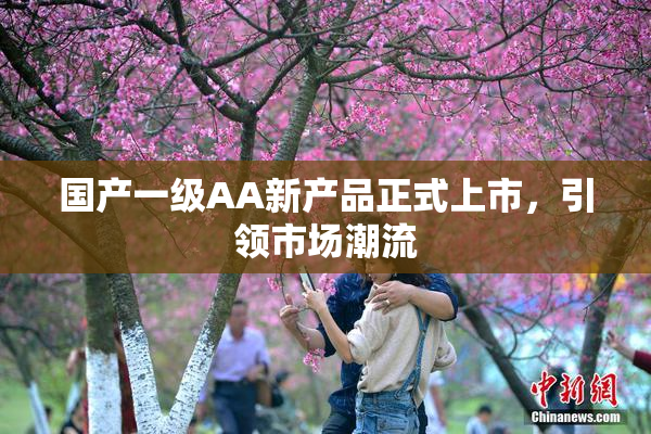 国产一级AA新产品正式上市，引领市场潮流