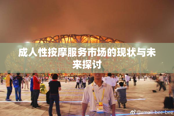 成人性按摩服务市场的现状与未来探讨