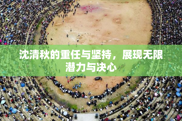 沈清秋的重任与坚持，展现无限潜力与决心