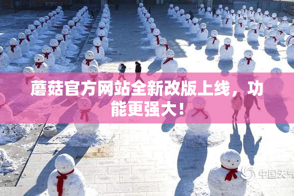 蘑菇官方网站全新改版上线，功能更强大！