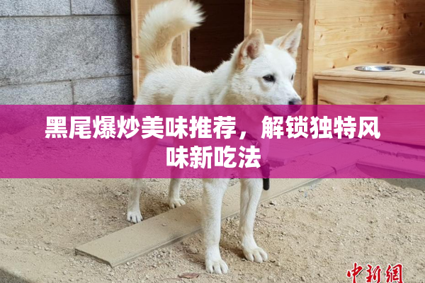 黑尾爆炒美味推荐，解锁独特风味新吃法