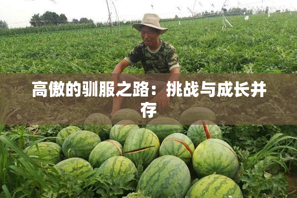 高傲的驯服之路：挑战与成长并存