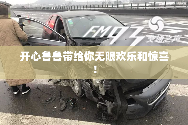 开心鲁鲁带给你无限欢乐和惊喜！