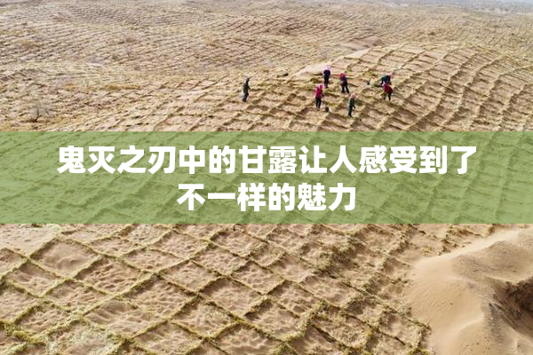 鬼灭之刃中的甘露让人感受到了不一样的魅力