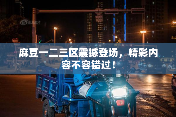 麻豆一二三区震撼登场，精彩内容不容错过！