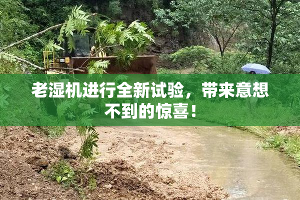 老湿机进行全新试验，带来意想不到的惊喜！