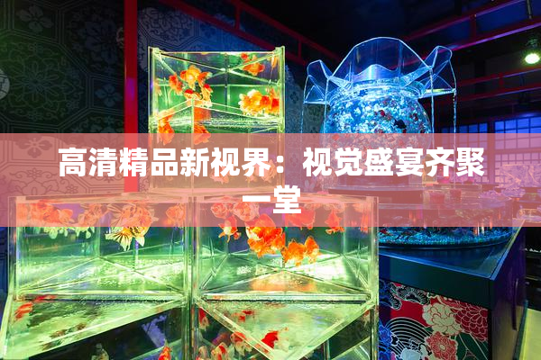 高清精品新视界：视觉盛宴齐聚一堂
