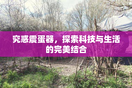 究惑震蛋器，探索科技与生活的完美结合