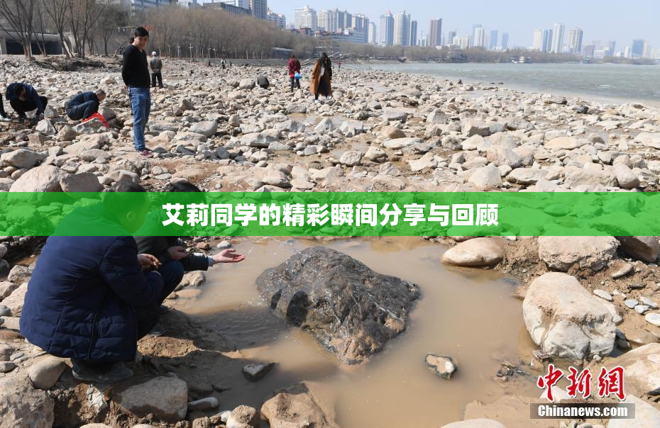 艾莉同学的精彩瞬间分享与回顾
