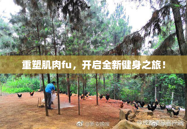 重塑肌肉fu，开启全新健身之旅！