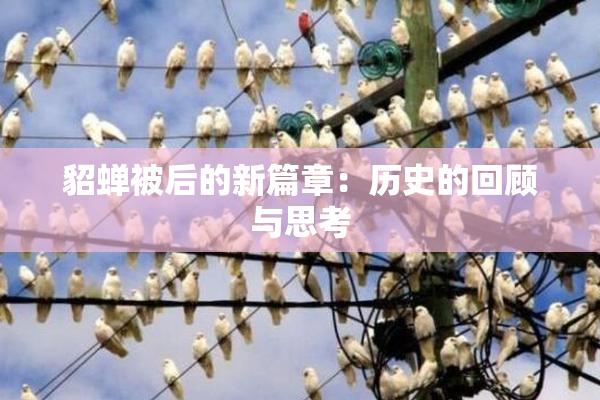 貂蝉被后的新篇章：历史的回顾与思考