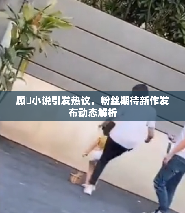 顾嫚小说引发热议，粉丝期待新作发布动态解析