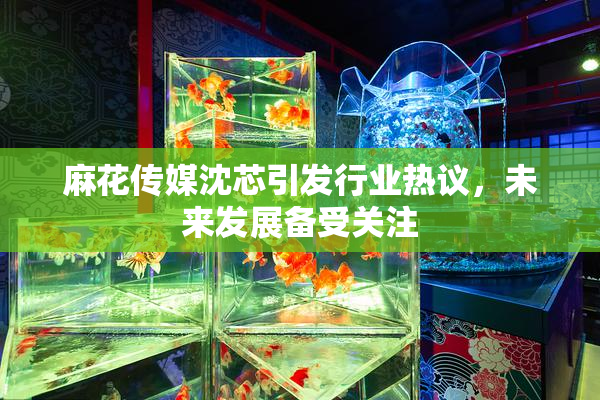 麻花传媒沈芯引发行业热议，未来发展备受关注