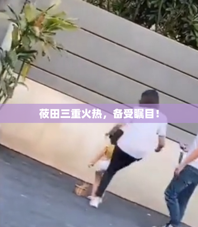 莜田三重火热，备受瞩目！