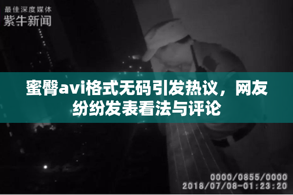 蜜臀avi格式无码引发热议，网友纷纷发表看法与评论