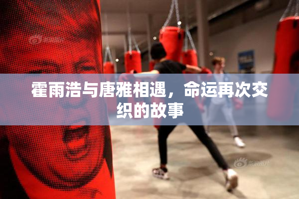 霍雨浩与唐雅相遇，命运再次交织的故事