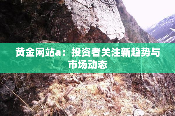 黄金网站a：投资者关注新趋势与市场动态
