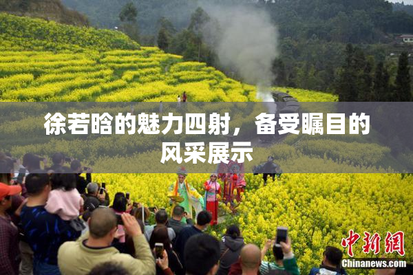 徐若晗的魅力四射，备受瞩目的风采展示
