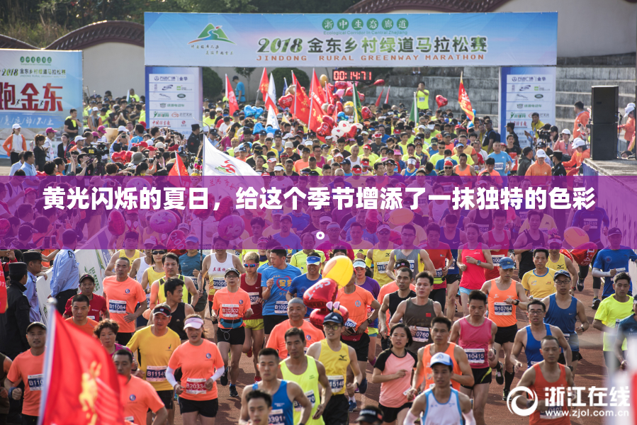黄光闪烁的夏日，给这个季节增添了一抹独特的色彩。