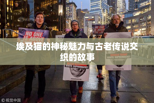 埃及猫的神秘魅力与古老传说交织的故事