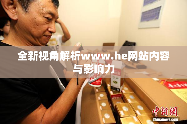 全新视角解析www.he网站内容与影响力