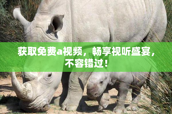 获取免费a视频，畅享视听盛宴，不容错过！