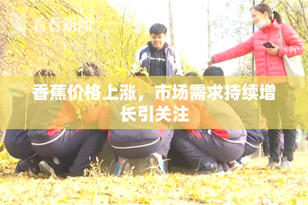香蕉价格上涨，市场需求持续增长引关注