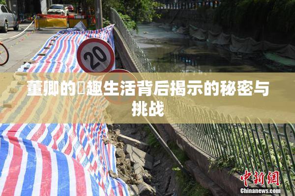 董卿的婬趣生活背后揭示的秘密与挑战