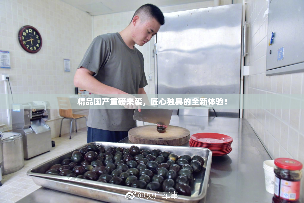 精品国产重磅来袭，匠心独具的全新体验！