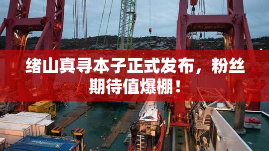 绪山真寻本子正式发布，粉丝期待值爆棚！