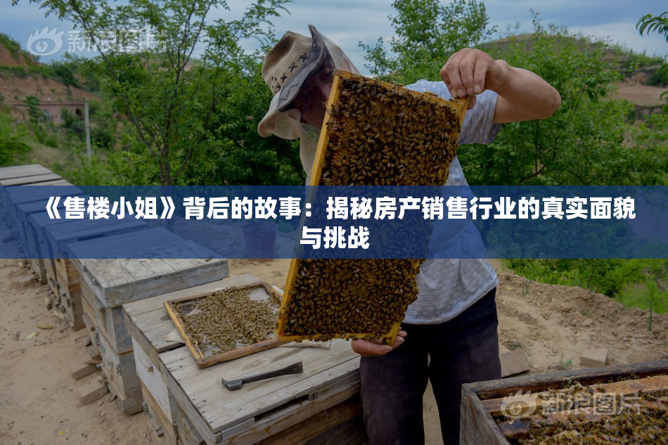 《售楼小姐》背后的故事：揭秘房产销售行业的真实面貌与挑战