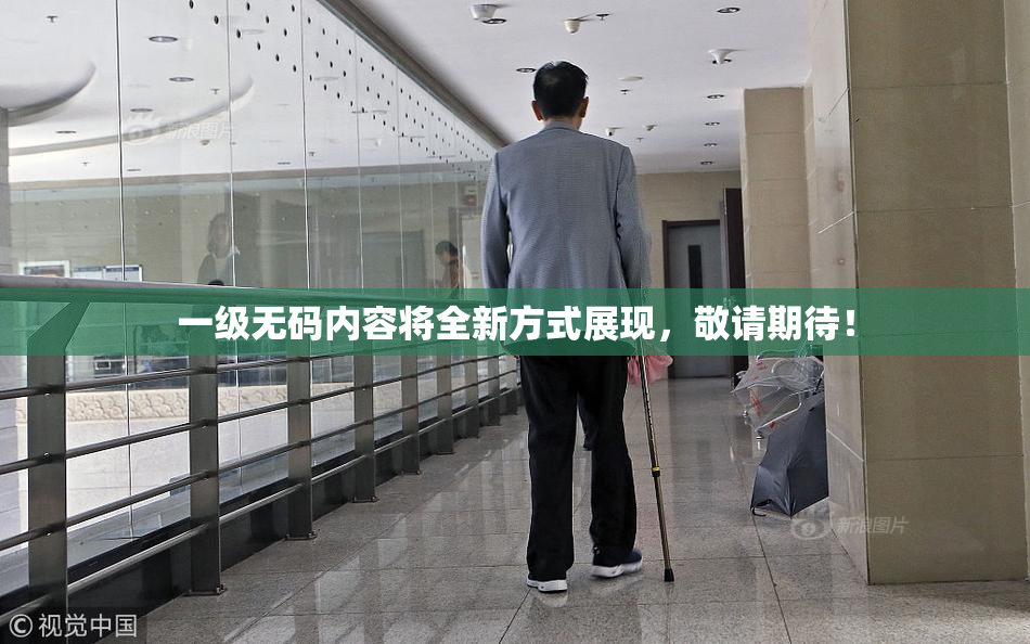 一级无码内容将全新方式展现，敬请期待！