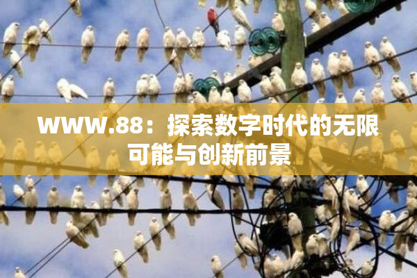 WWW.88：探索数字时代的无限可能与创新前景