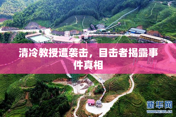 清冷教授遭袭击，目击者揭露事件真相