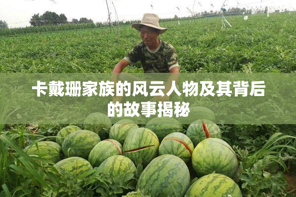 卡戴珊家族的风云人物及其背后的故事揭秘