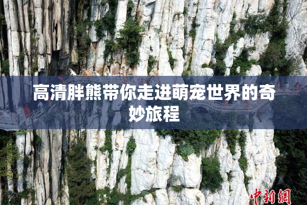 高清胖熊带你走进萌宠世界的奇妙旅程