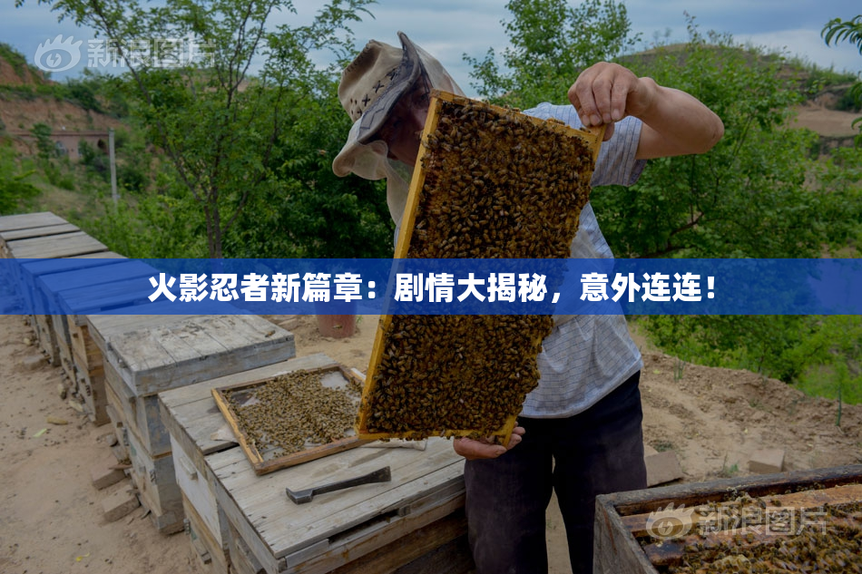 火影忍者新篇章：剧情大揭秘，意外连连！
