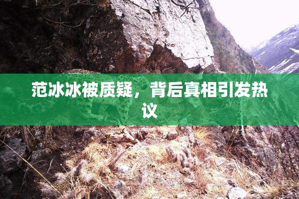 范冰冰被质疑，背后真相引发热议