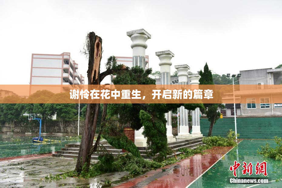 谢怜在花中重生，开启新的篇章