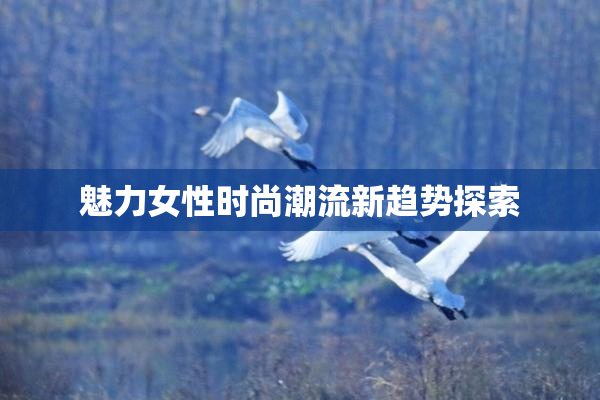 魅力女性时尚潮流新趋势探索