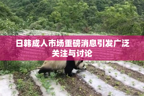 日韩成人市场重磅消息引发广泛关注与讨论