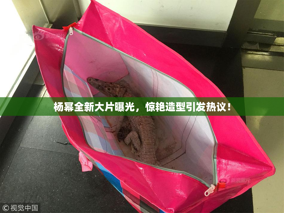 杨幂全新大片曝光，惊艳造型引发热议！