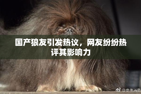 国产狼友引发热议，网友纷纷热评其影响力