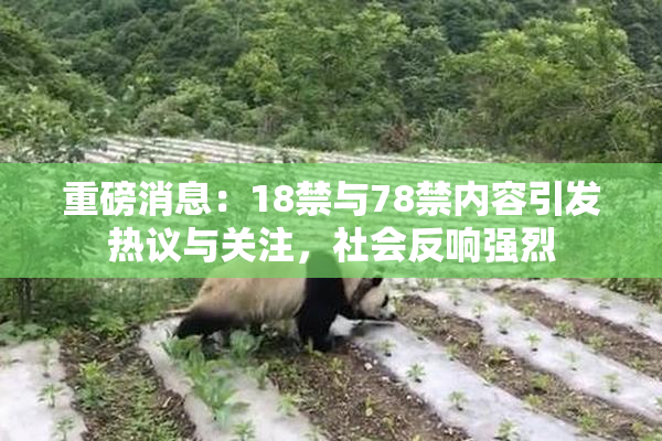 重磅消息：18禁与78禁内容引发热议与关注，社会反响强烈