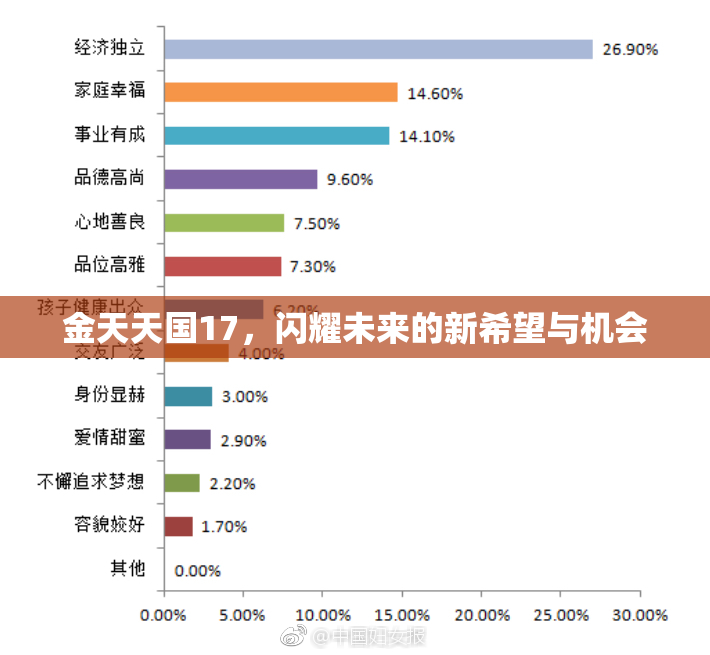 金天天国17，闪耀未来的新希望与机会